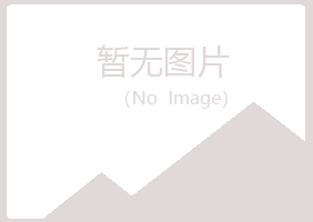 桑日县夏岚金属有限公司